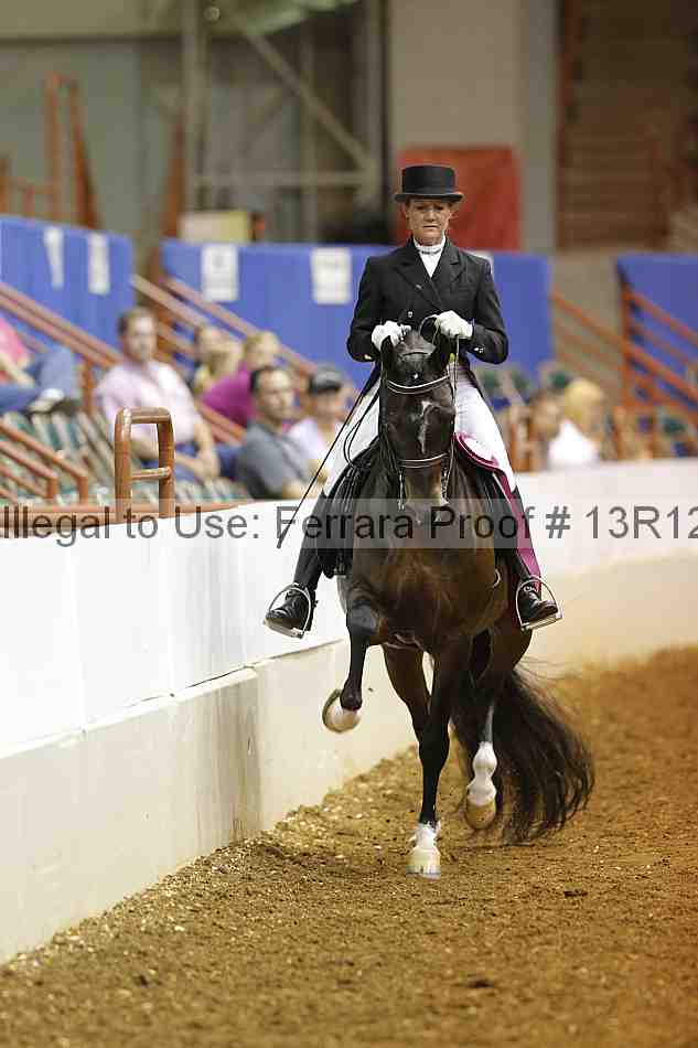 Proof Number 13r12_6747