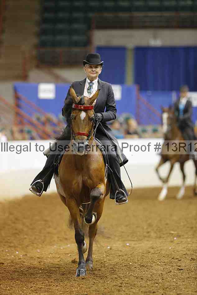 Proof Number 13r12_6771