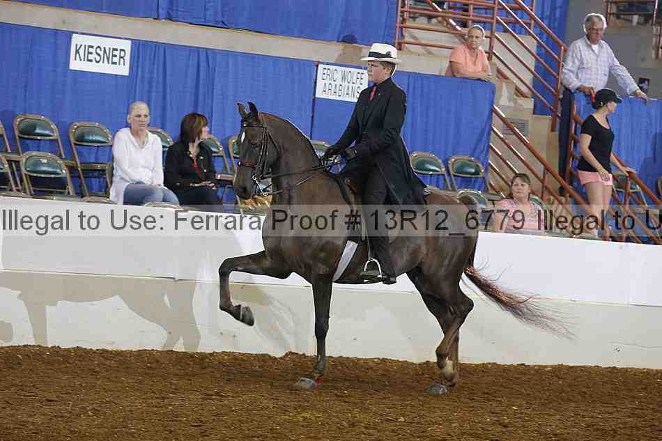 Proof Number 13r12_6779