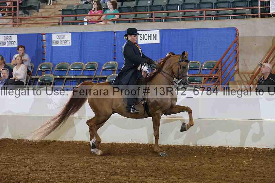 Proof Number 13r12_6784