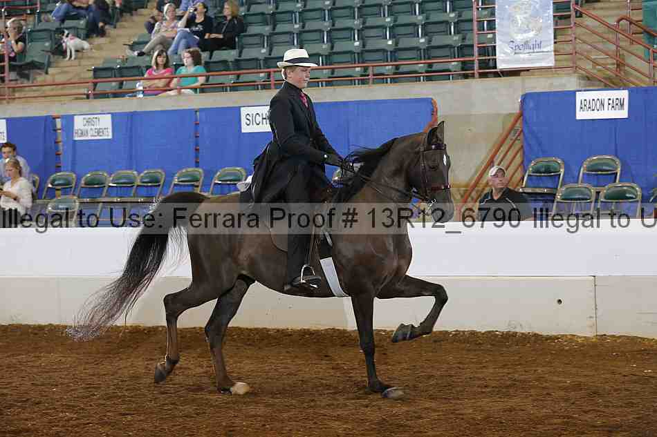 Proof Number 13r12_6790