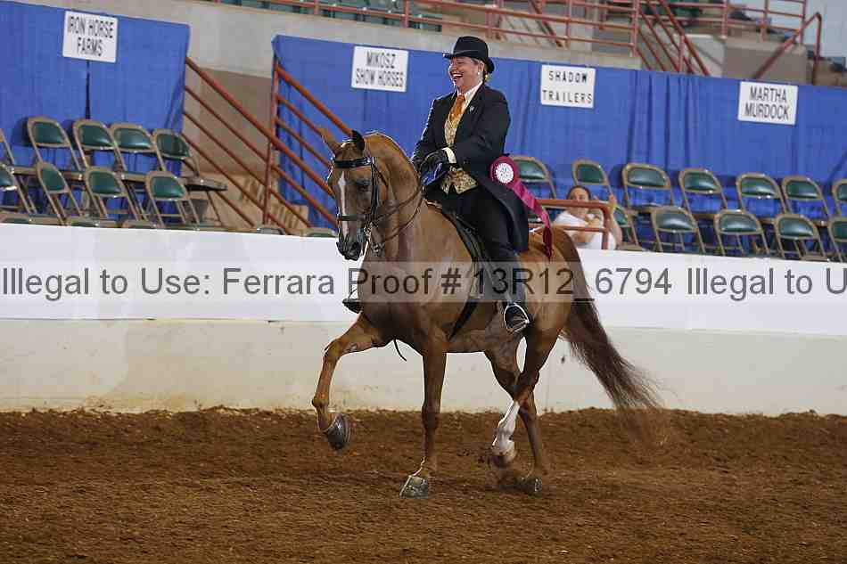 Proof Number 13r12_6794