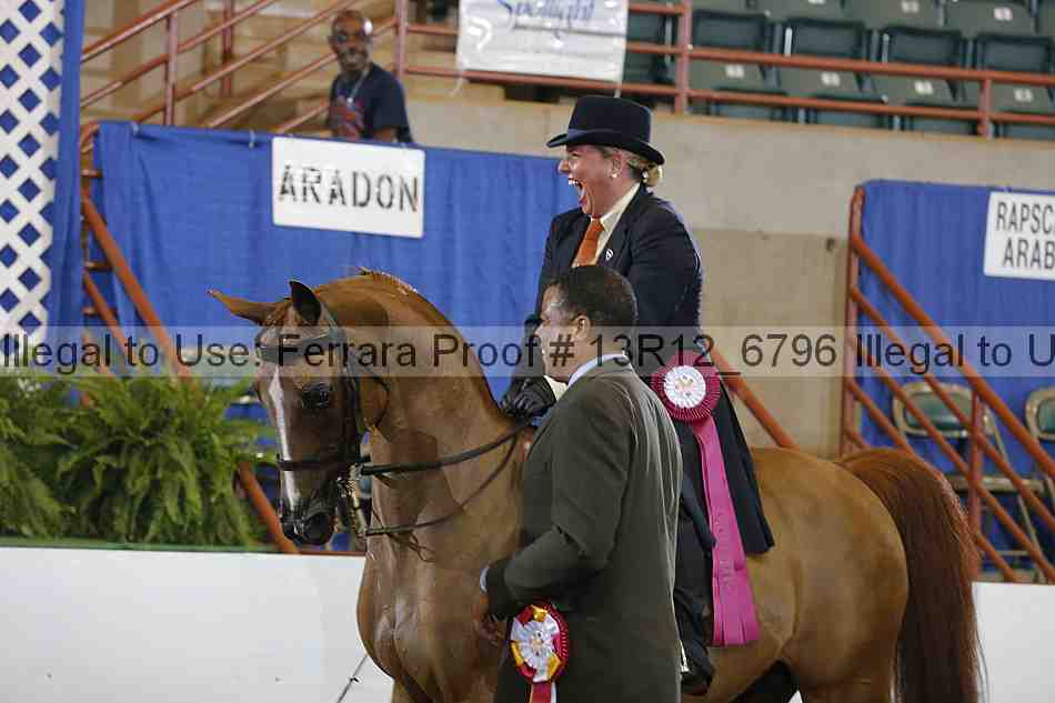 Proof Number 13r12_6796