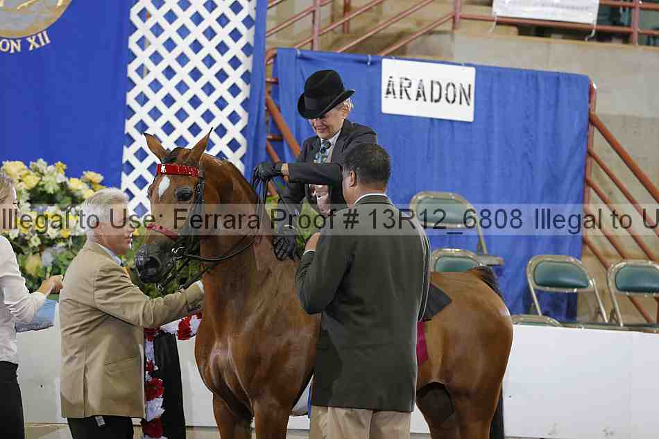 Proof Number 13r12_6808