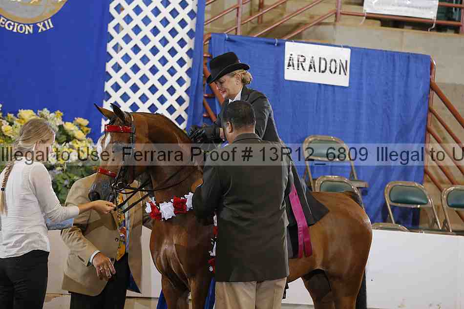 Proof Number 13r12_6809