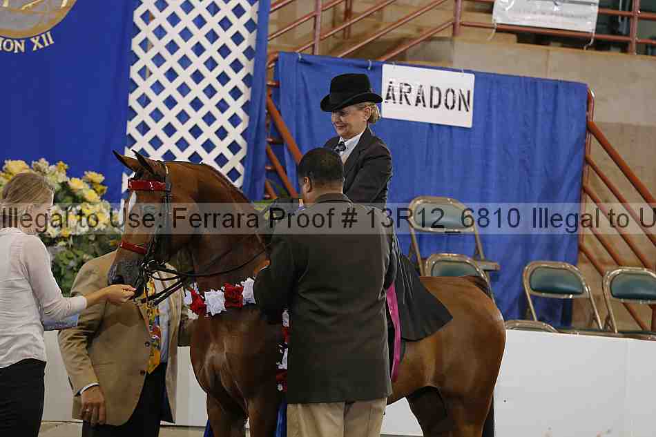 Proof Number 13r12_6810