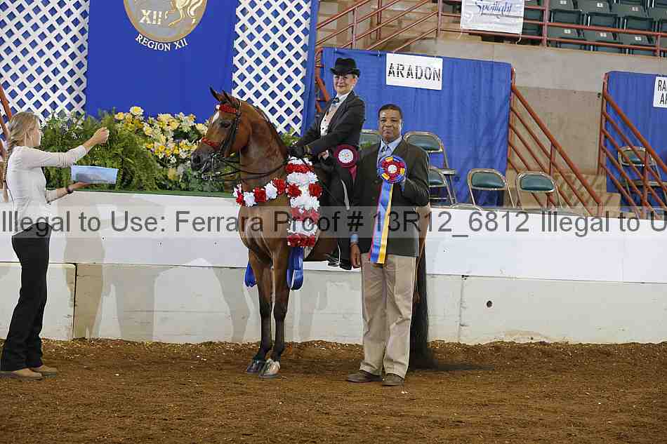 Proof Number 13r12_6812