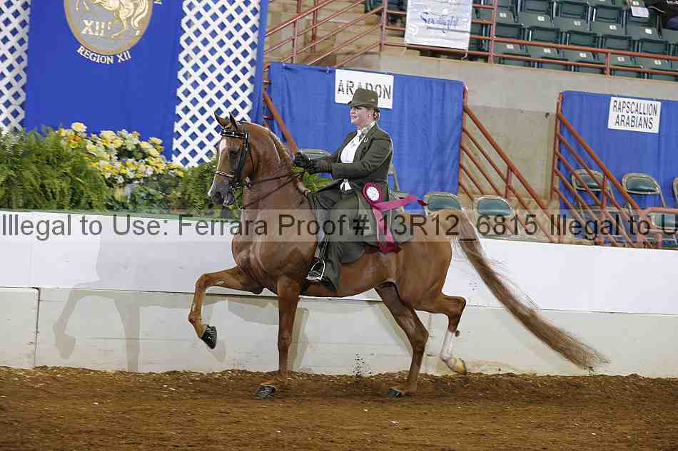 Proof Number 13r12_6815