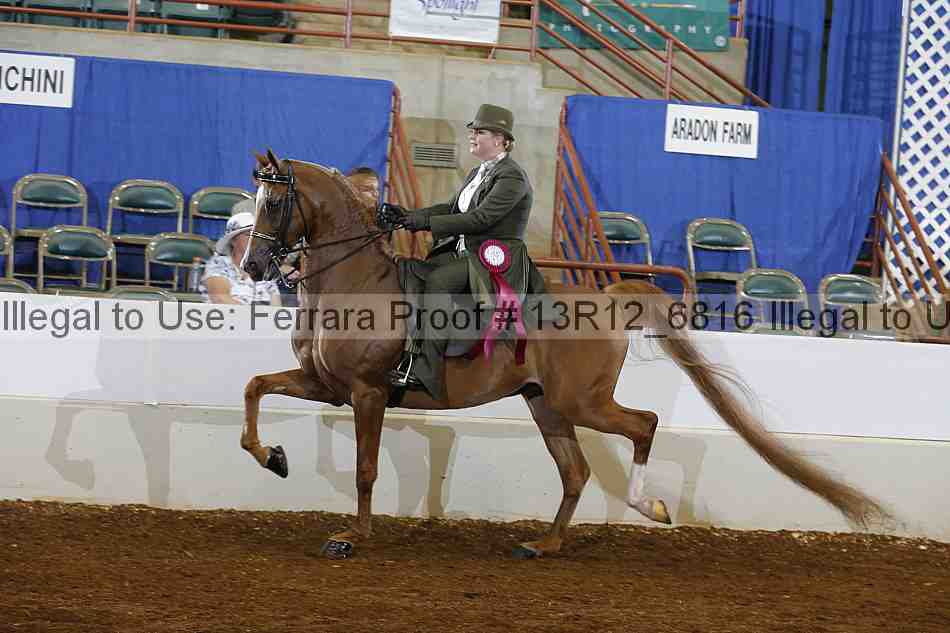 Proof Number 13r12_6816