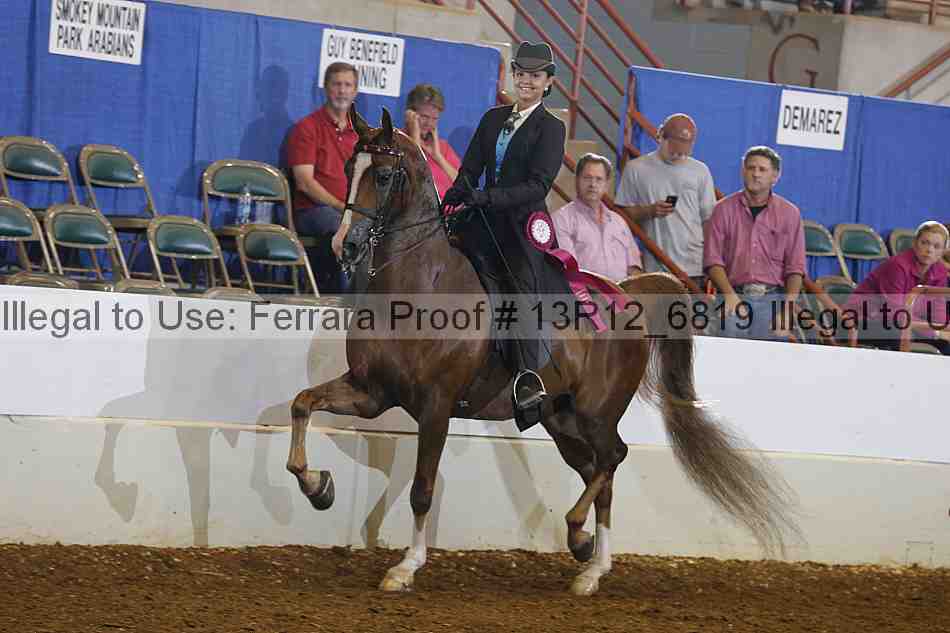 Proof Number 13r12_6819