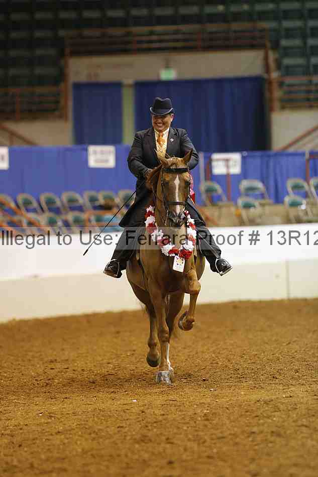 Proof Number 13r12_6828