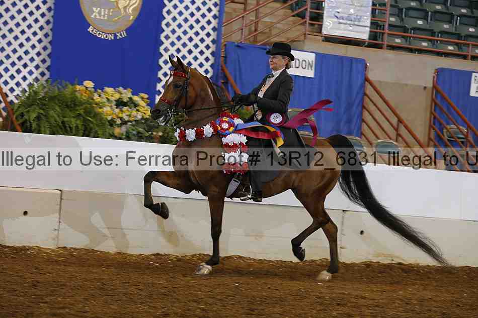 Proof Number 13r12_6831