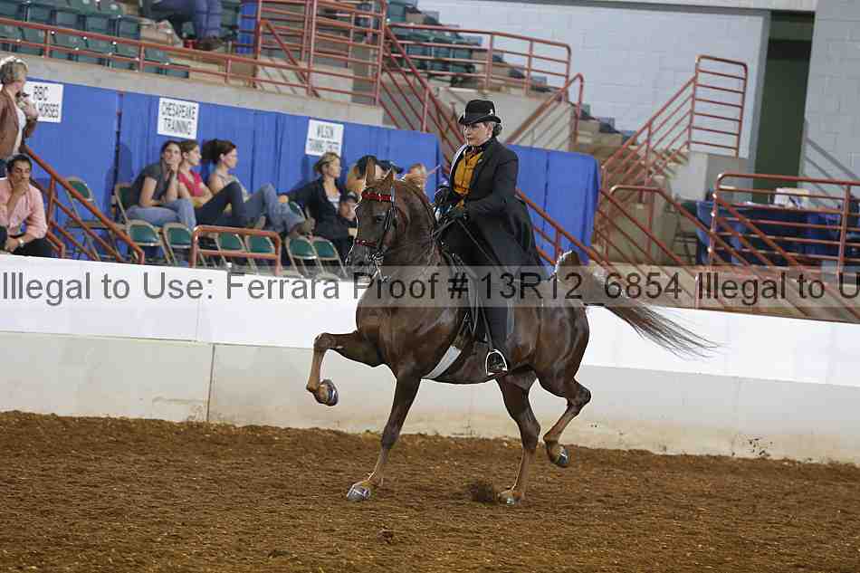Proof Number 13r12_6854