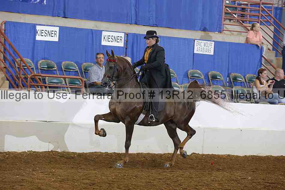 Proof Number 13r12_6855