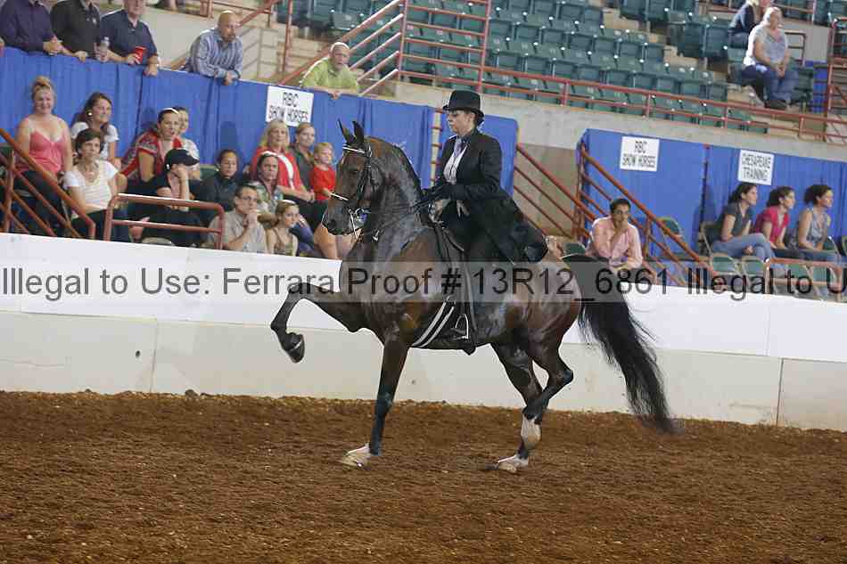 Proof Number 13r12_6861