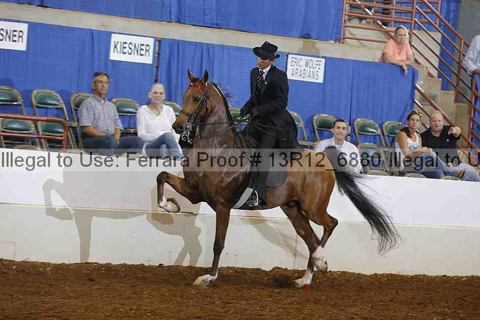Proof Number 13r12_6880