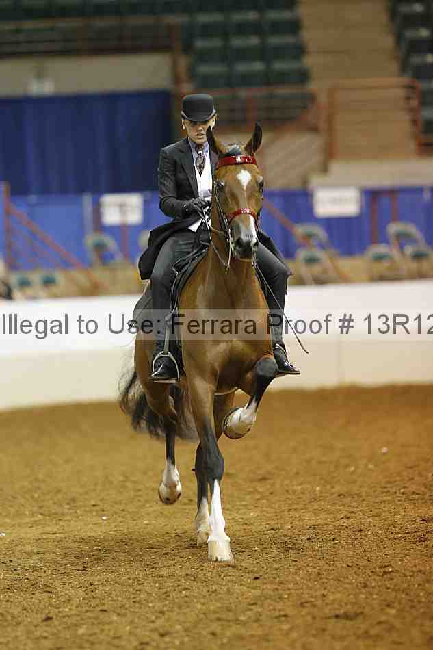 Proof Number 13r12_6883