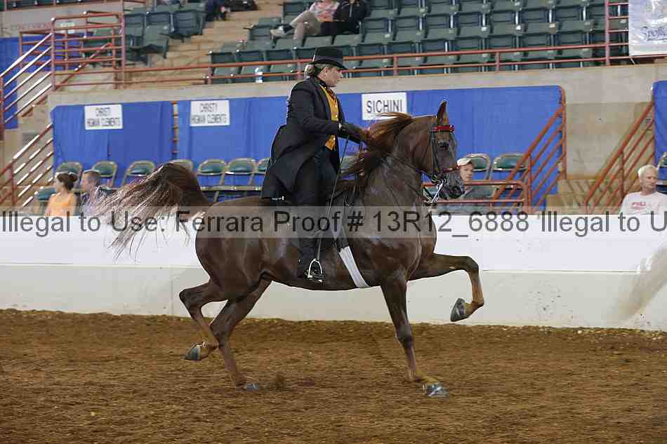 Proof Number 13r12_6888