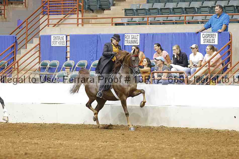 Proof Number 13r12_6891
