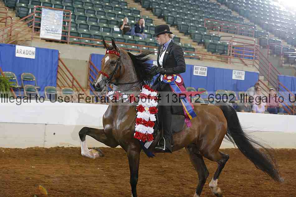 Proof Number 13r12_6902