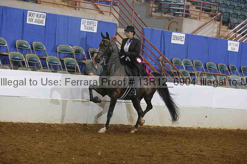 Proof Number 13r12_6904