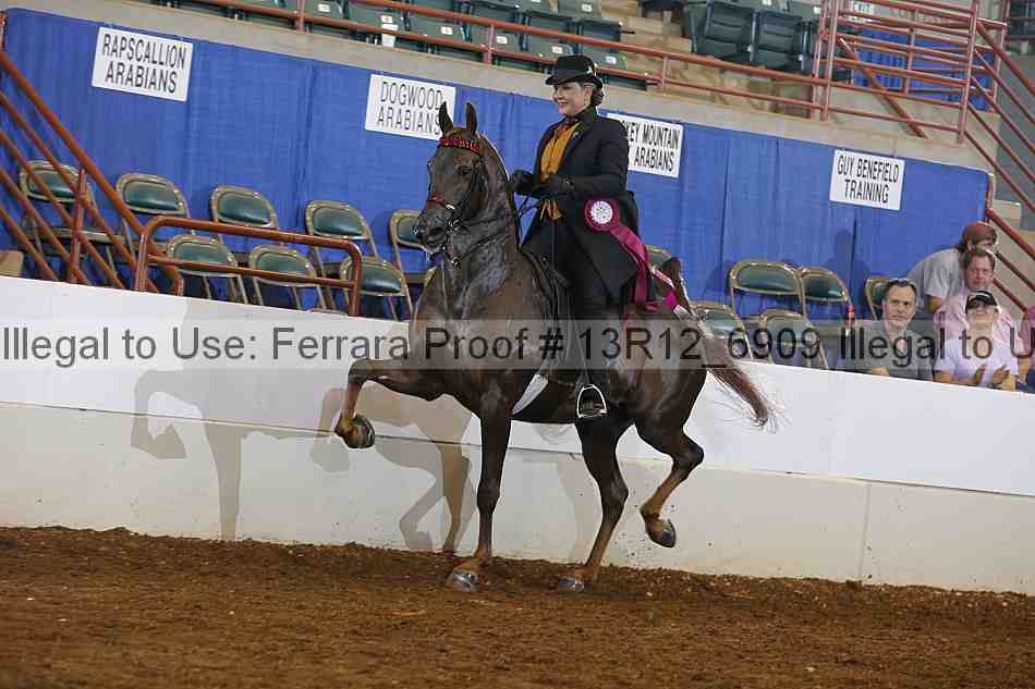 Proof Number 13r12_6909