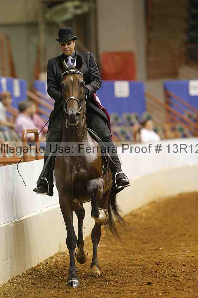 Proof Number 13r12_6910