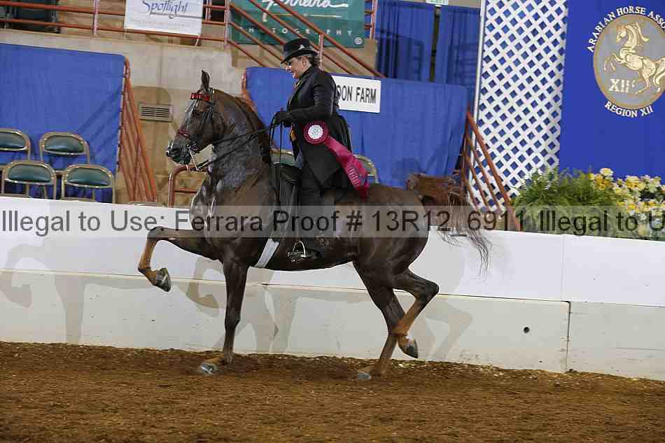 Proof Number 13r12_6911