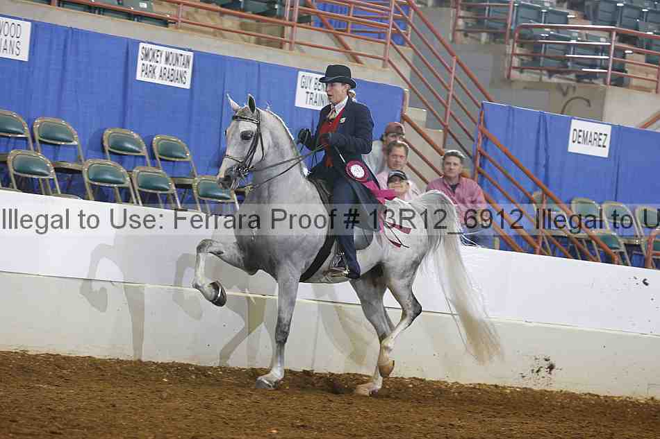 Proof Number 13r12_6912