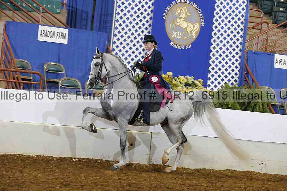 Proof Number 13r12_6915