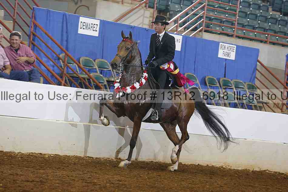 Proof Number 13r12_6918