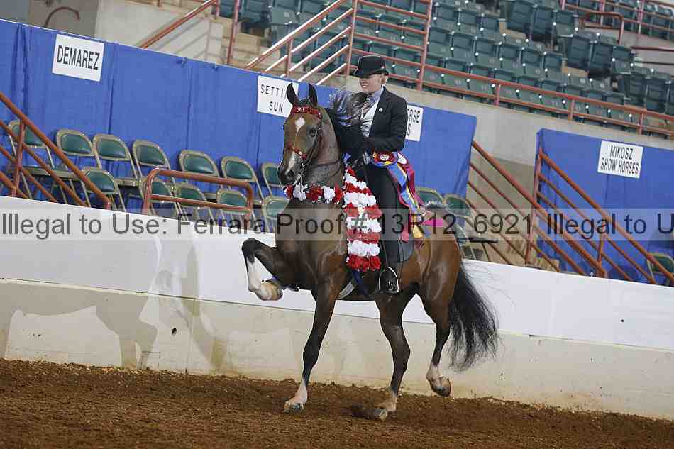 Proof Number 13r12_6921