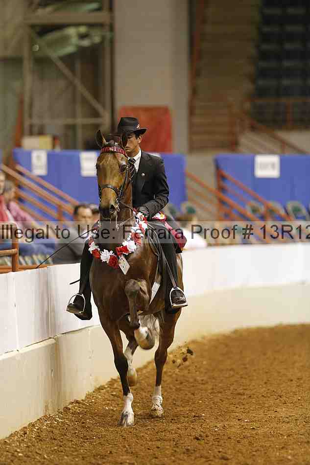 Proof Number 13r12_6923