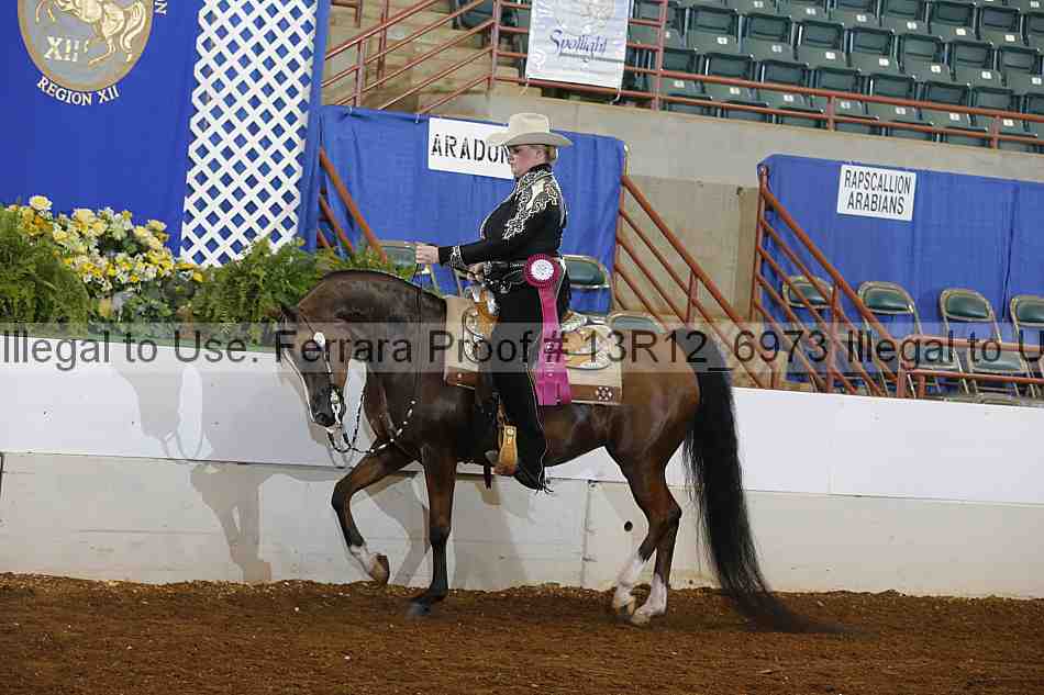 Proof Number 13r12_6973