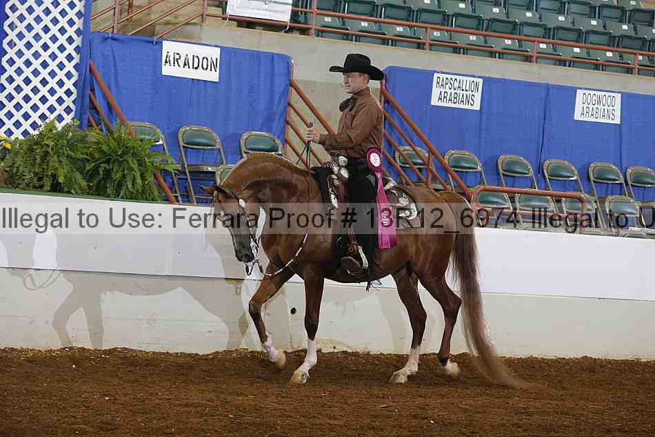 Proof Number 13r12_6974