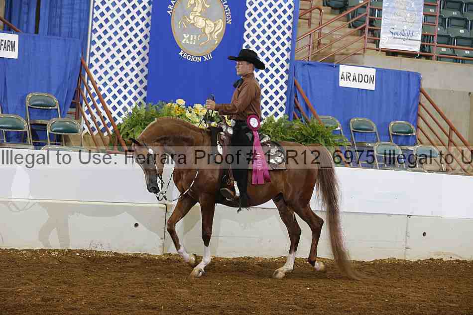 Proof Number 13r12_6975