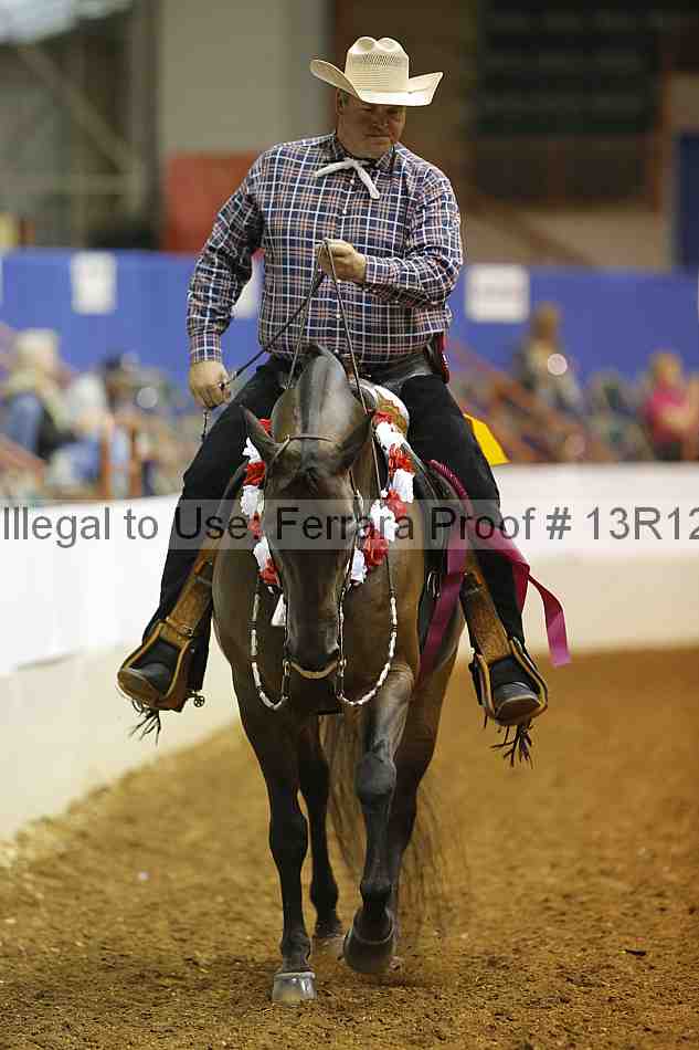 Proof Number 13r12_6978