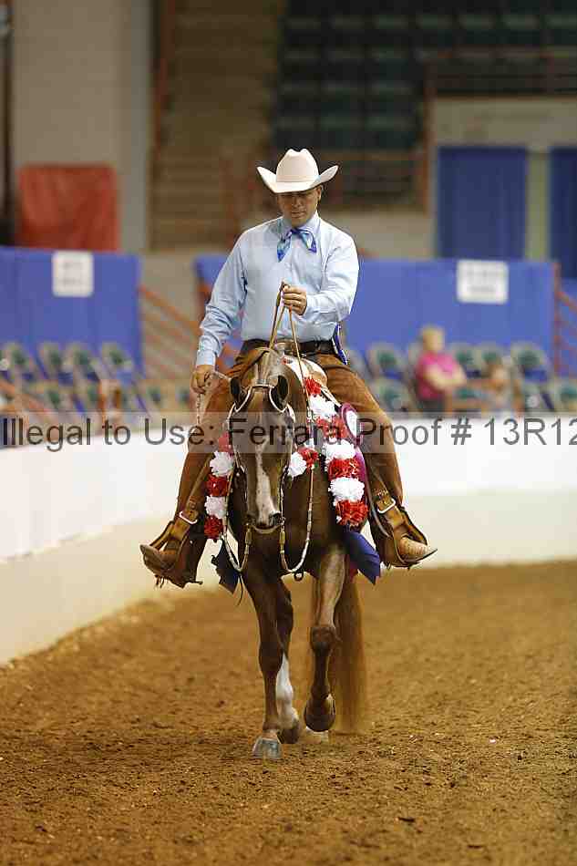 Proof Number 13r12_6983
