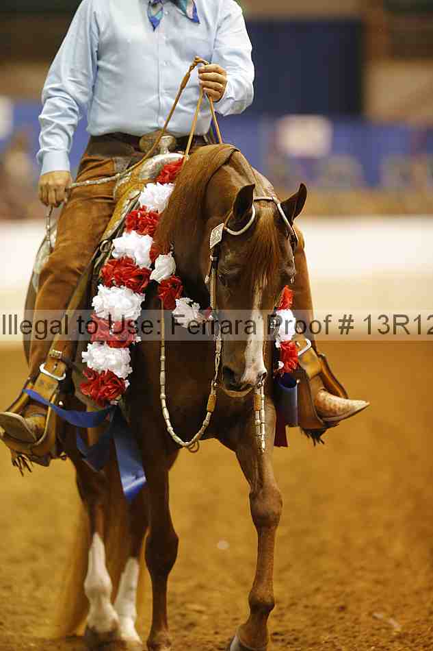 Proof Number 13r12_6984