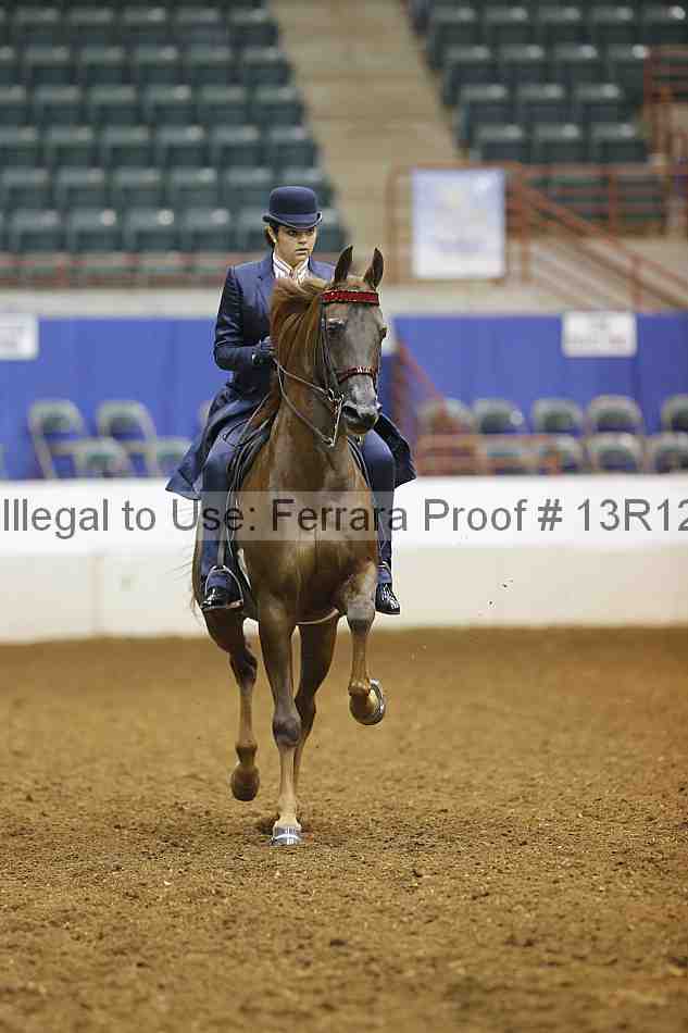 Proof Number 13r12_6989