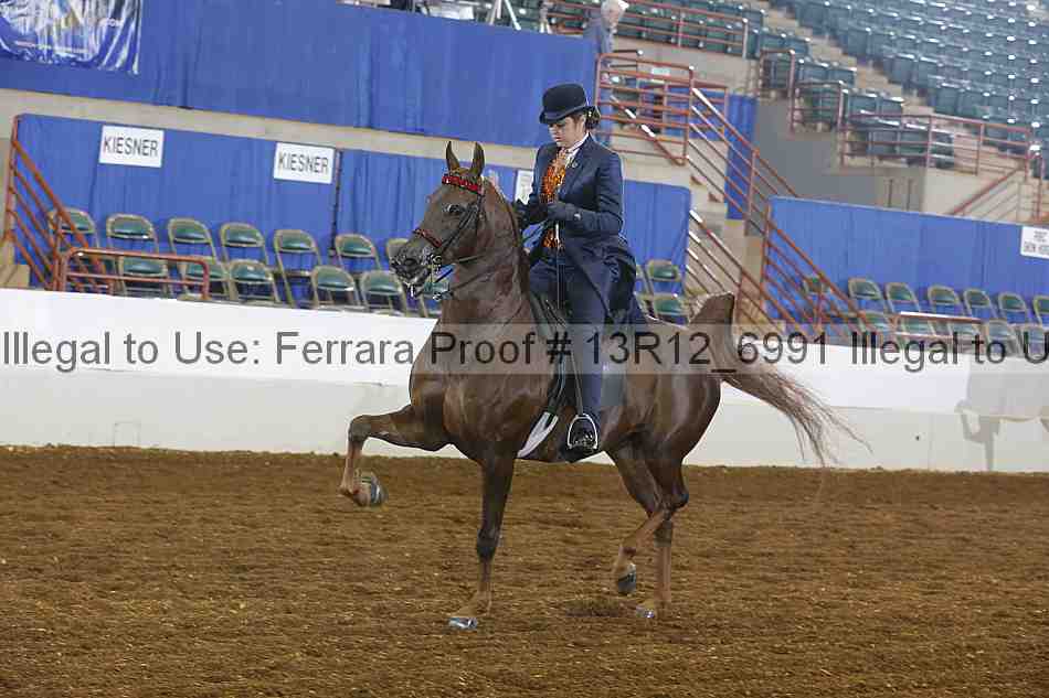 Proof Number 13r12_6991