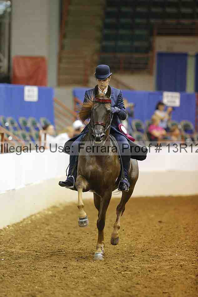 Proof Number 13r12_7012