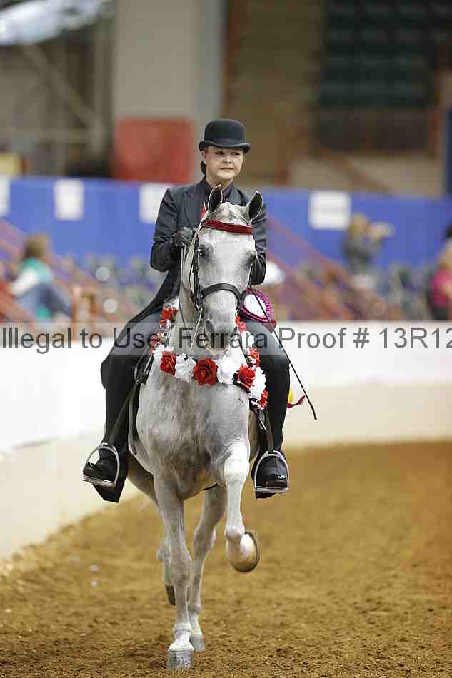 Proof Number 13r12_7017