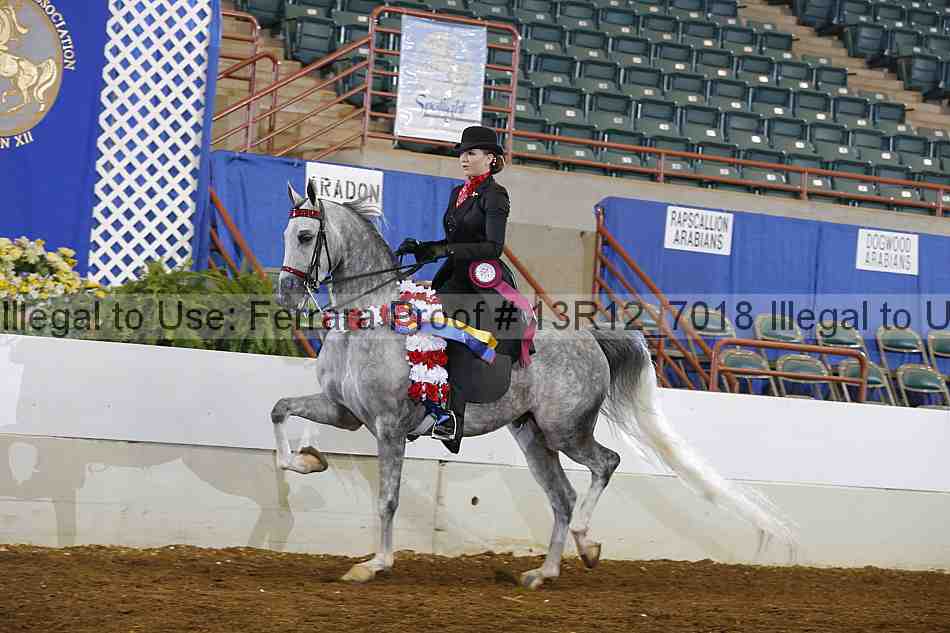 Proof Number 13r12_7018