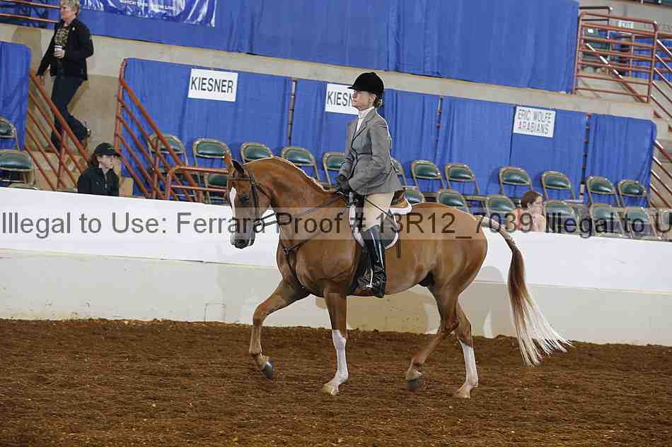 Proof Number 13r12_7039