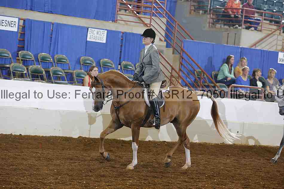 Proof Number 13r12_7050