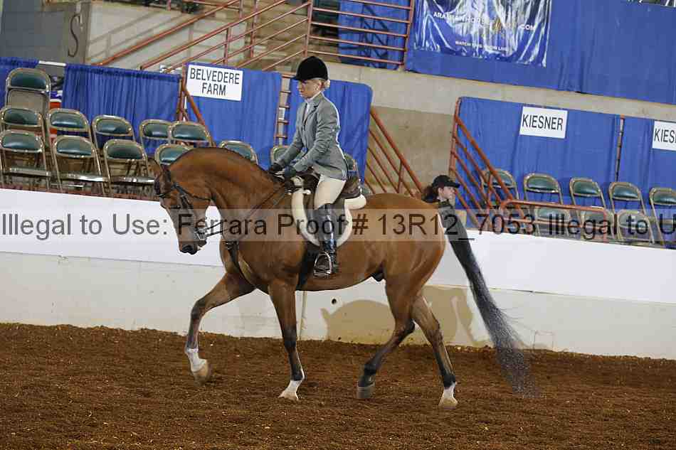 Proof Number 13r12_7053