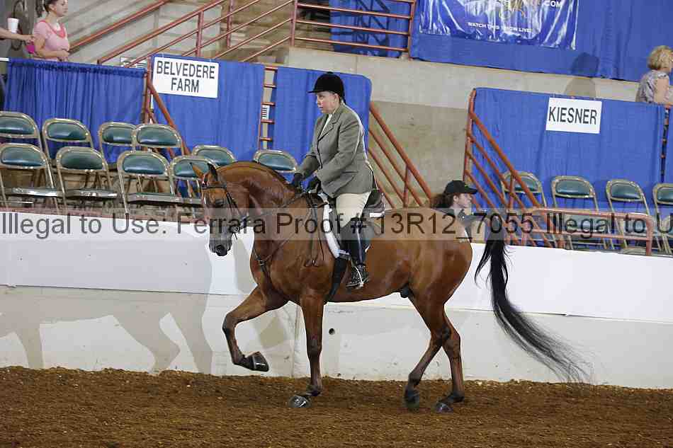 Proof Number 13r12_7055
