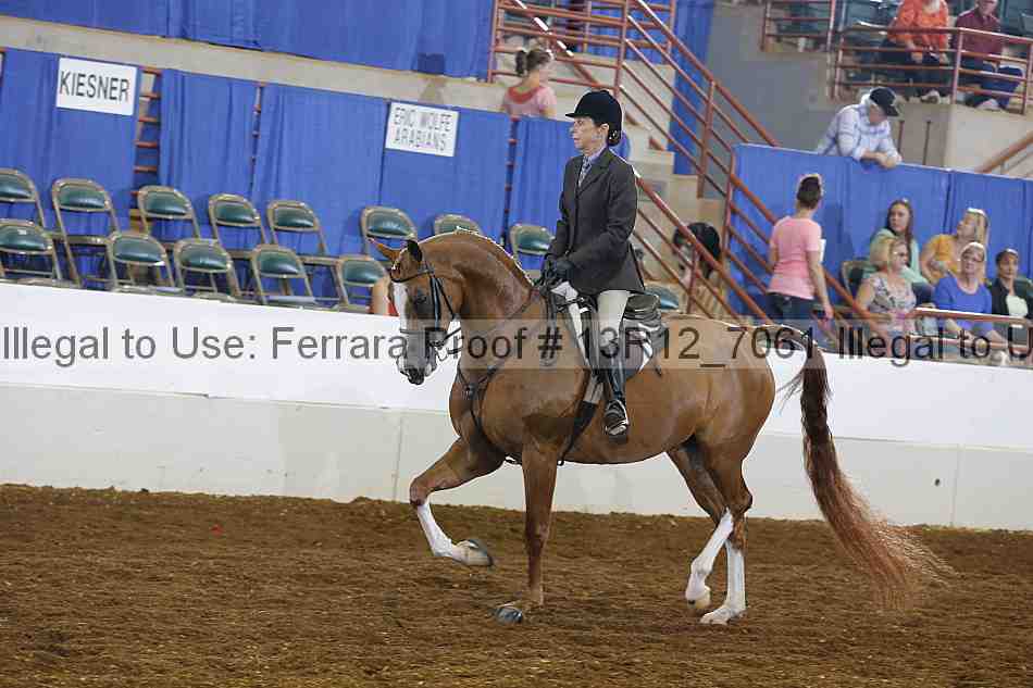 Proof Number 13r12_7061