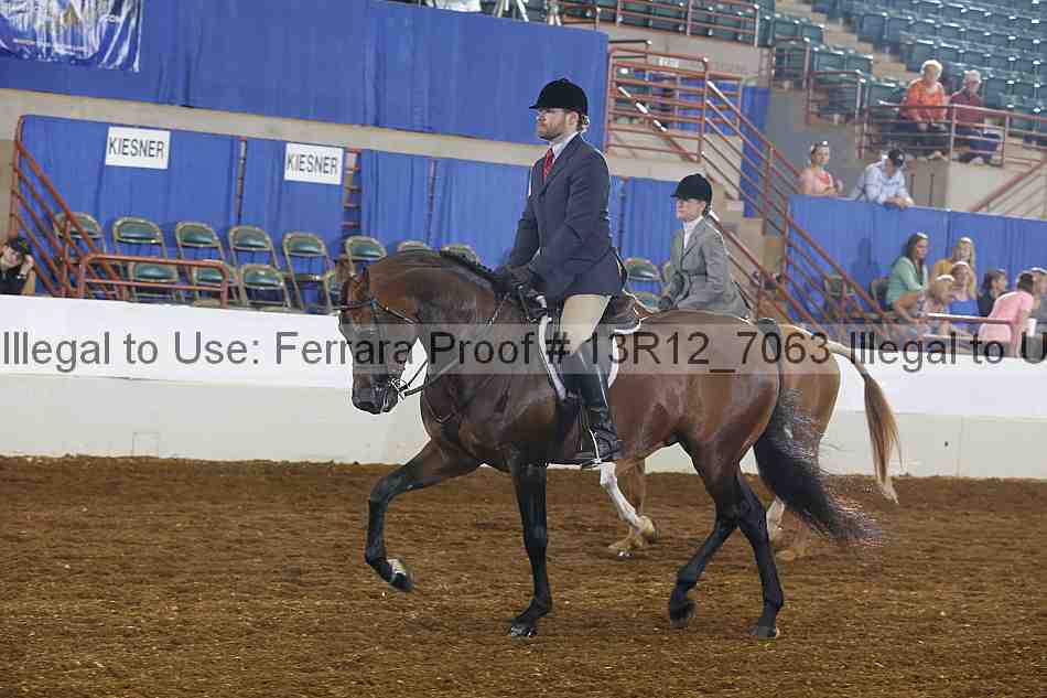 Proof Number 13r12_7063